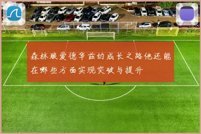 森林狼爱德华兹的成长之路他还能在哪些方面实现突破与提升